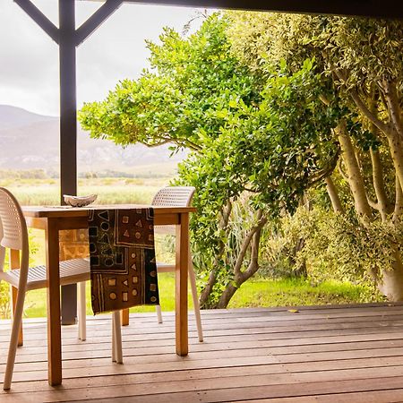 Springfontein River Lodge Станфорд Екстер'єр фото
