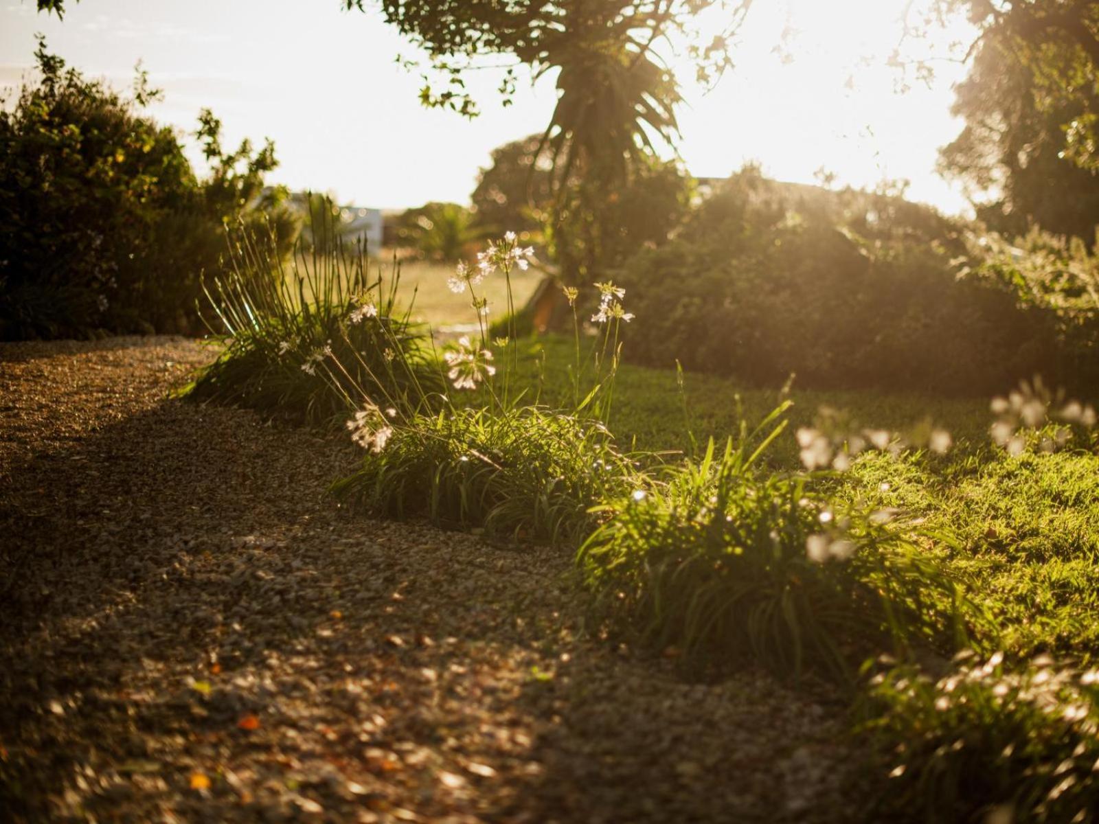 Springfontein River Lodge Станфорд Екстер'єр фото